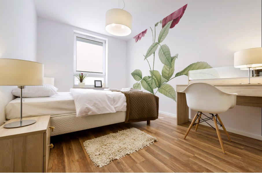 Vintage china rose Mural print