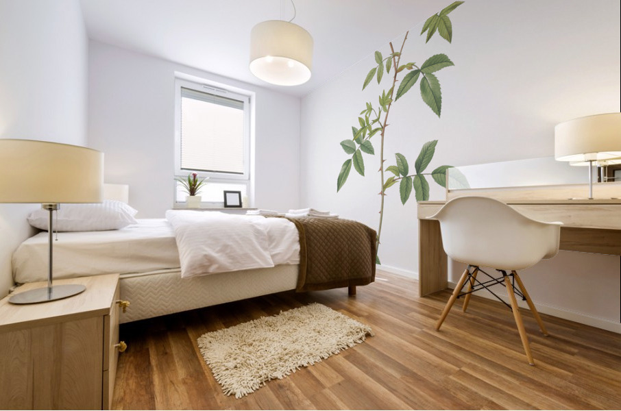 White climbing rose Impression murale