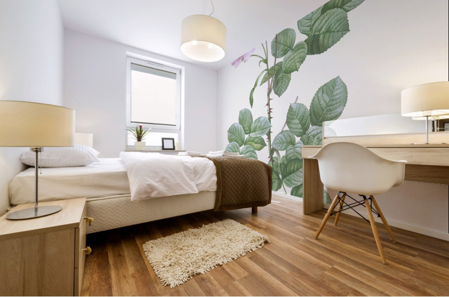 White climbing rose Mural print