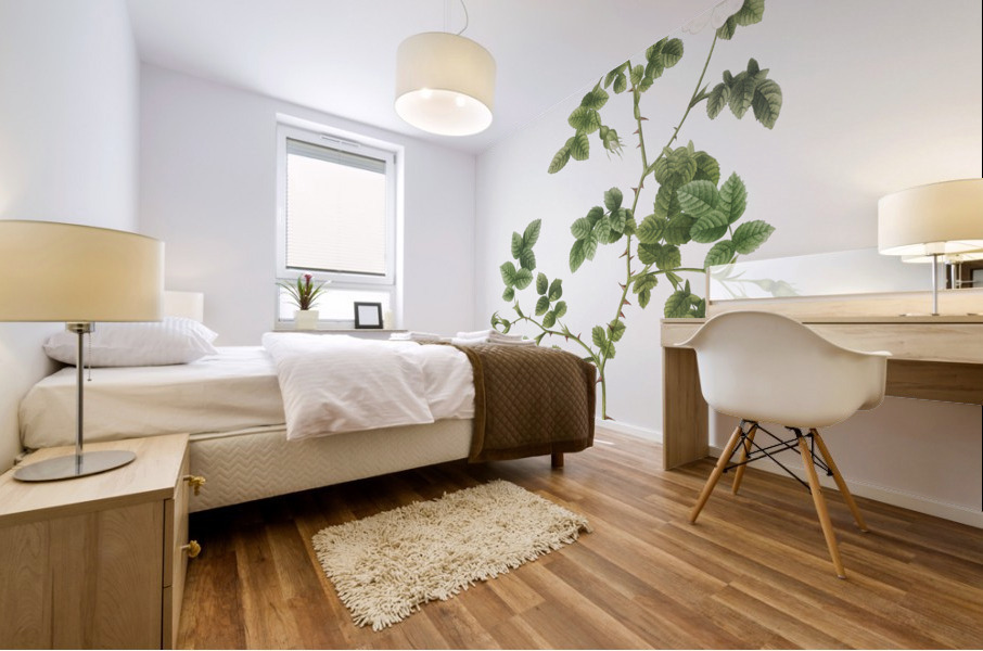 White sweetbriar rose Mural print