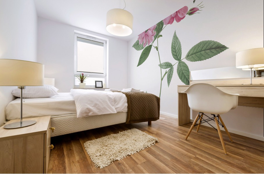 Blooming hudson rose Mural print