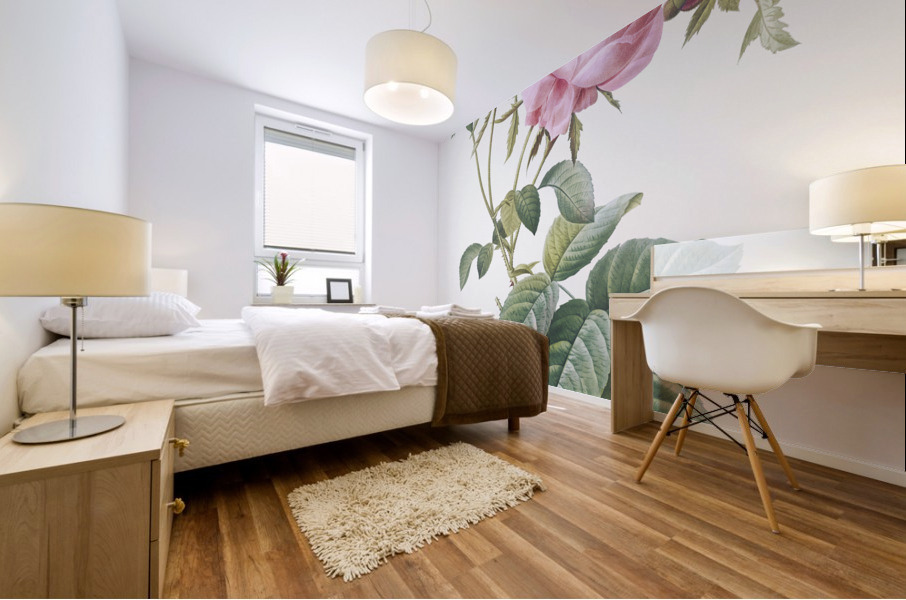 Pink cabbage rose Mural print