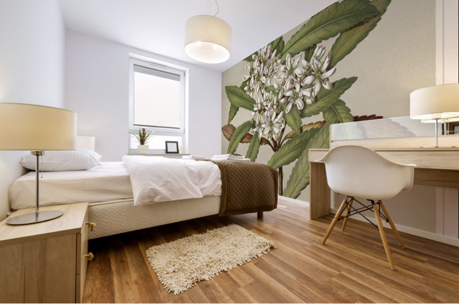 Sarah Featon 031 Mural print