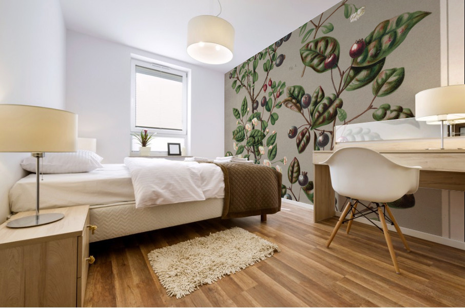 Sarah Featon 011 Mural print