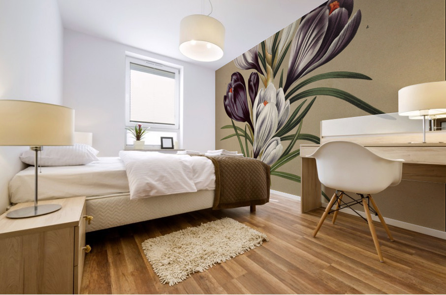 Album van Eeden : Haarlems flora : 1872-1881 Mural print