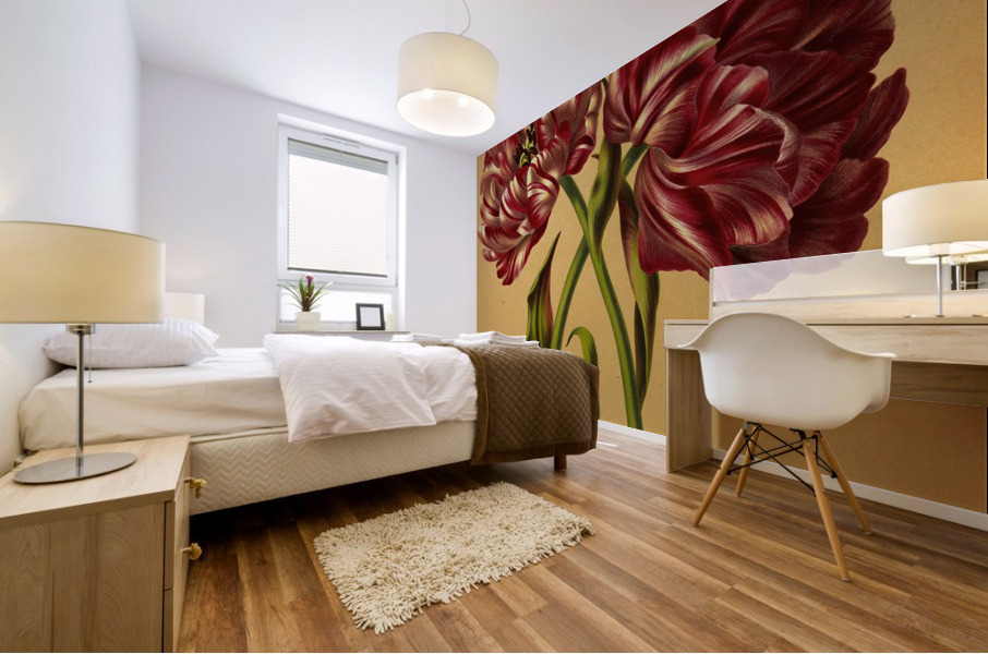 Album van Eeden : Haarlems flora : 1872-1881 Mural print