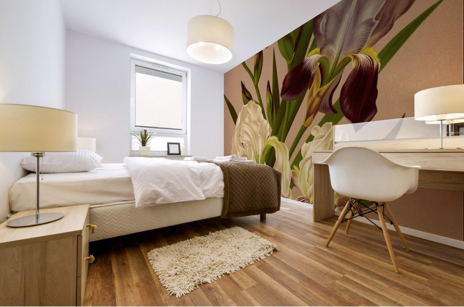 Album van Eeden : Haarlems flora : 1872-1881 Mural print