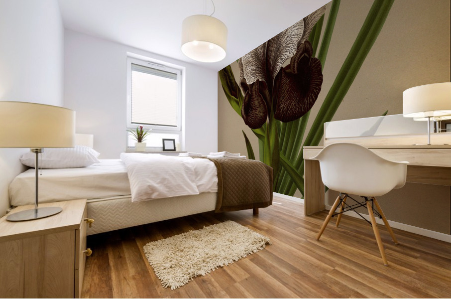 Album van Eeden : Haarlems flora : 1872-1881 Mural print