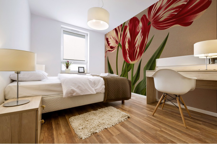 Album van Eeden : Haarlems flora : 1872-1881 Impression murale