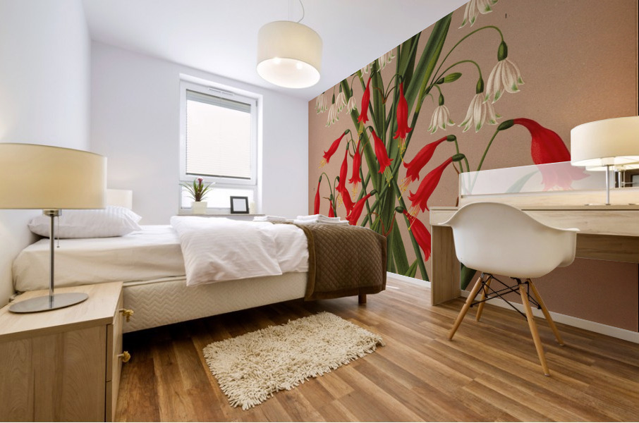 Album van Eeden : Haarlems flora : 1872-1881 Mural print