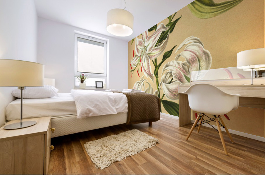 Album van Eeden : Haarlems flora : 1872-1881 Mural print