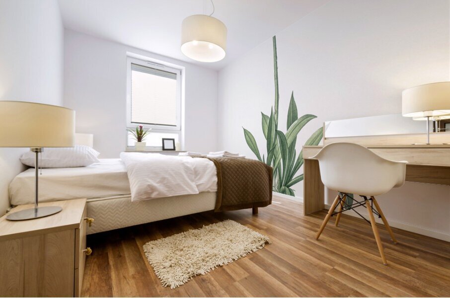 Swamp pink  illustration  Mural print