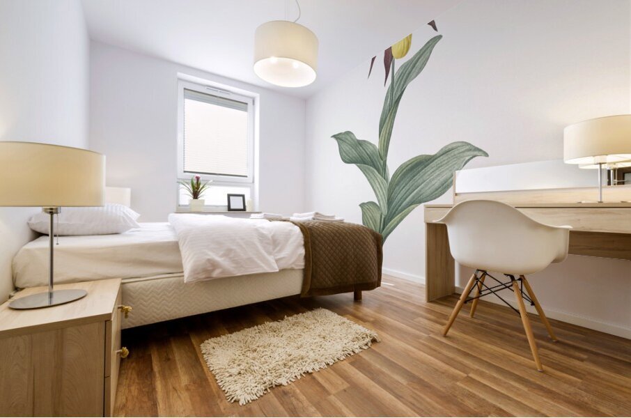 Lady slipper orchid illustration  Mural print