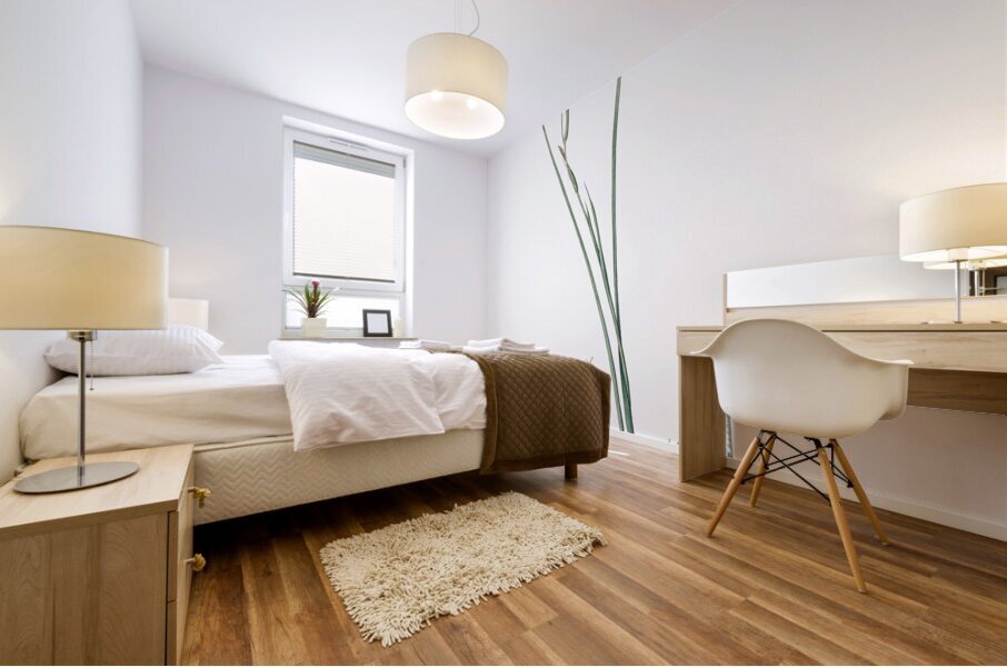 Lady slipper orchid illustration  Mural print