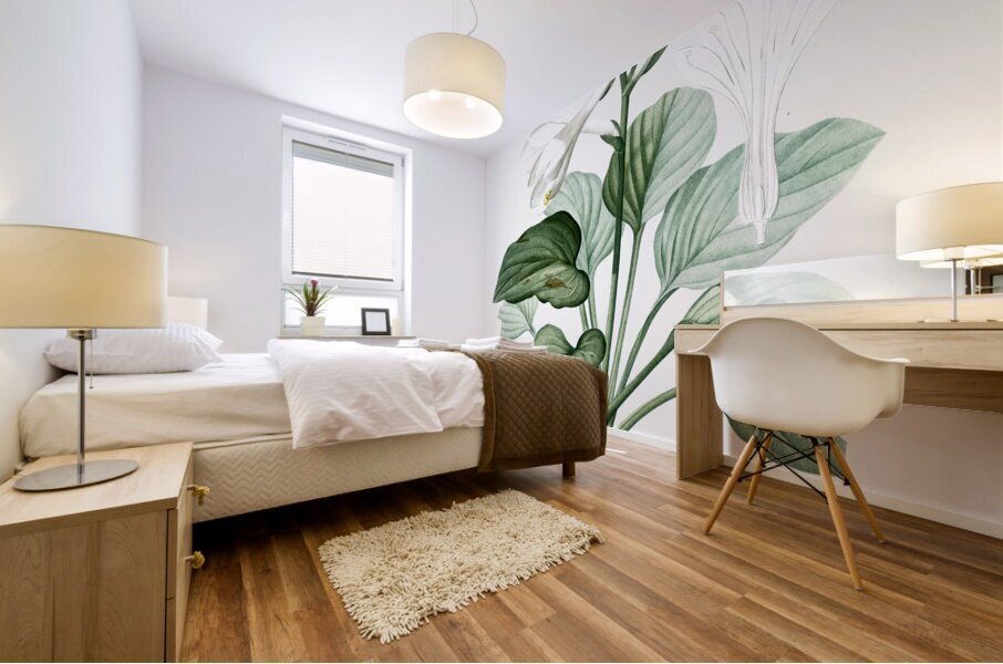 Daylily illustration  Mural print