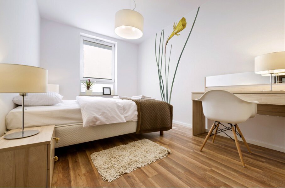 Daffodil illustration  Mural print