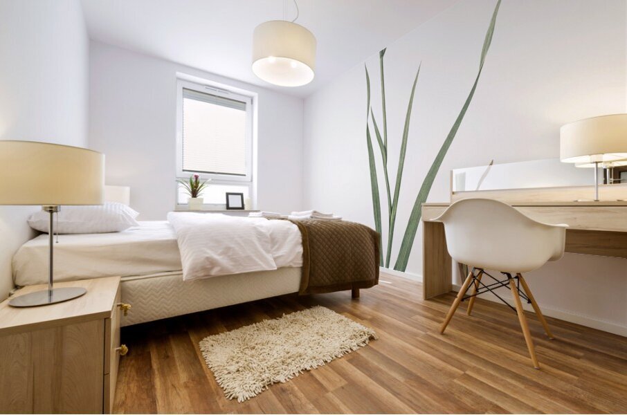 Gladiolus cunonius illustration  Mural print