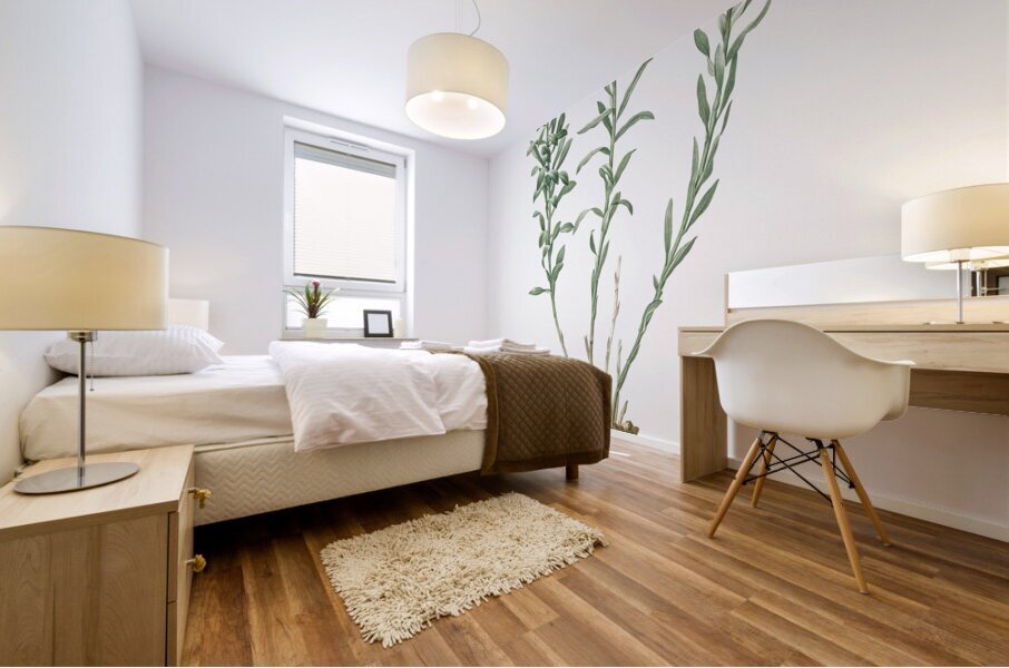 Lily of the Incas illustration  Mural print