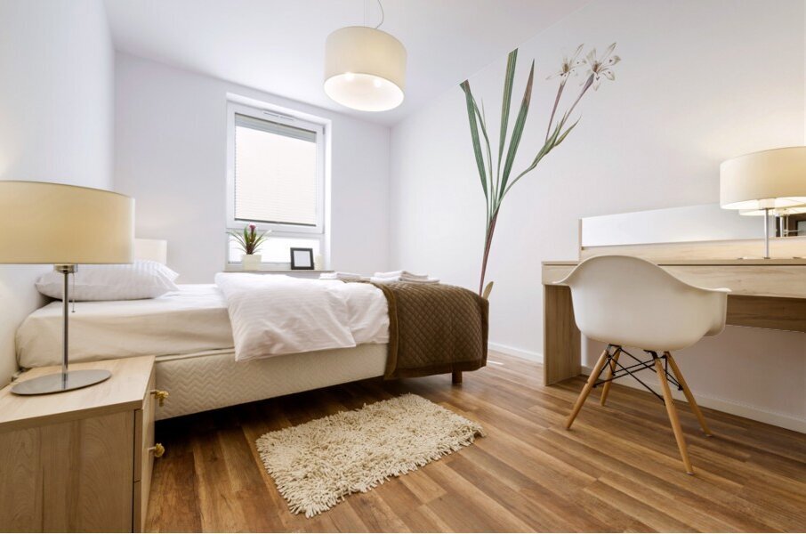 Gladiolus inclinatus illustration  Mural print