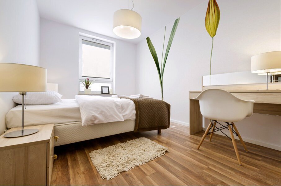 Tulipa celsiana illustration  Mural print