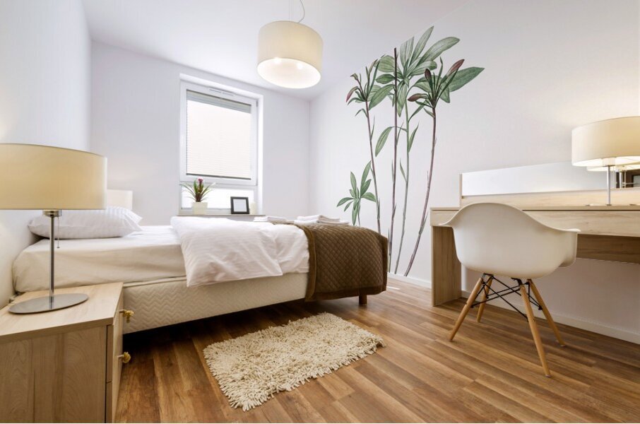 Lily of the Incas illustration  Mural print