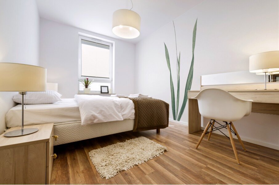 Ixia filiformis illustration  Mural print