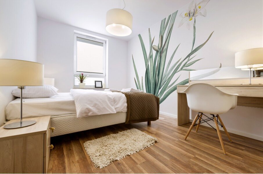 Fortnight lily illustration  Mural print