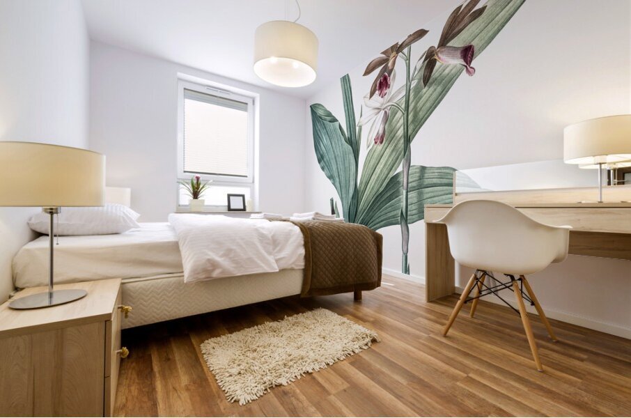 Limodorum tankervilleae illustration  Mural print