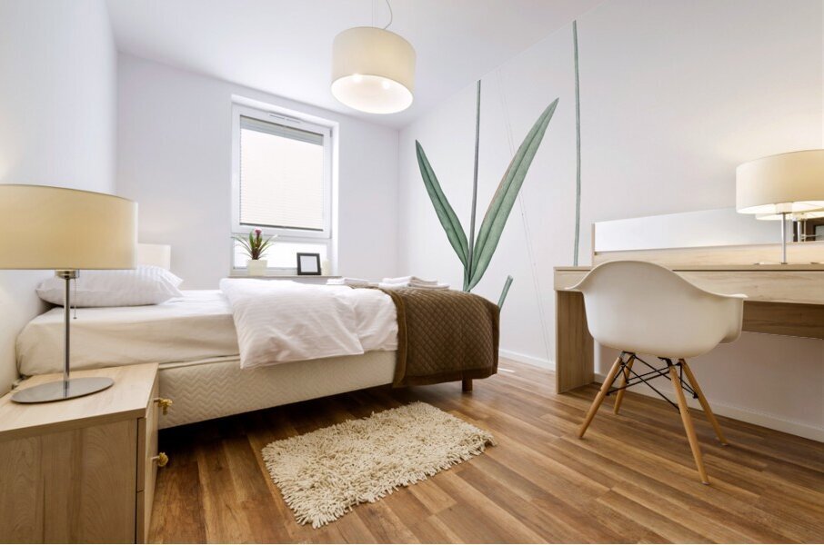 Epidendrum bifidum illustration  Mural print