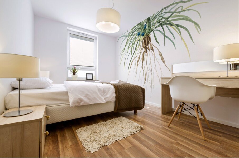 Convallaria japonica illustration  Mural print