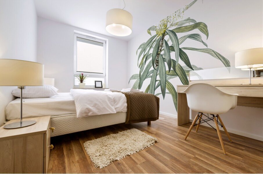 Pleomele illustration  Mural print