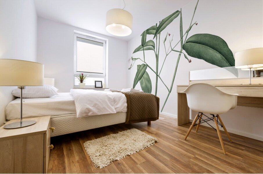 Maranta arundinacea illustration  Mural print