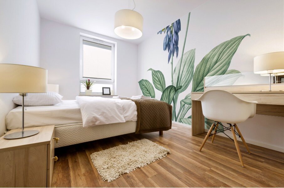 Daylily illustration  Mural print