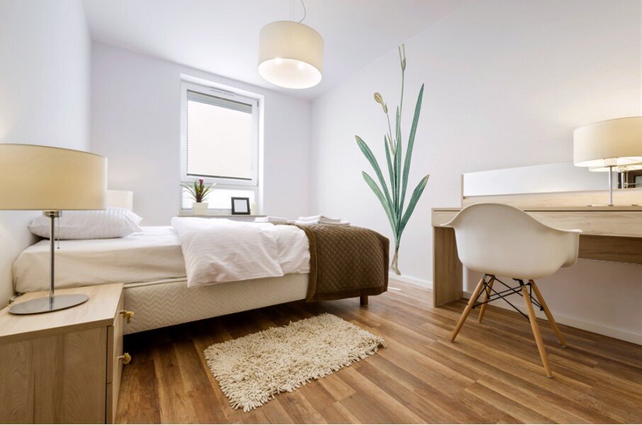 Pitcairnia latifolia illustration  Mural print