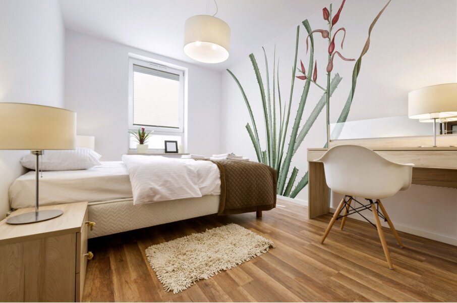 Pitcairnia angustifolia illustration  Mural print