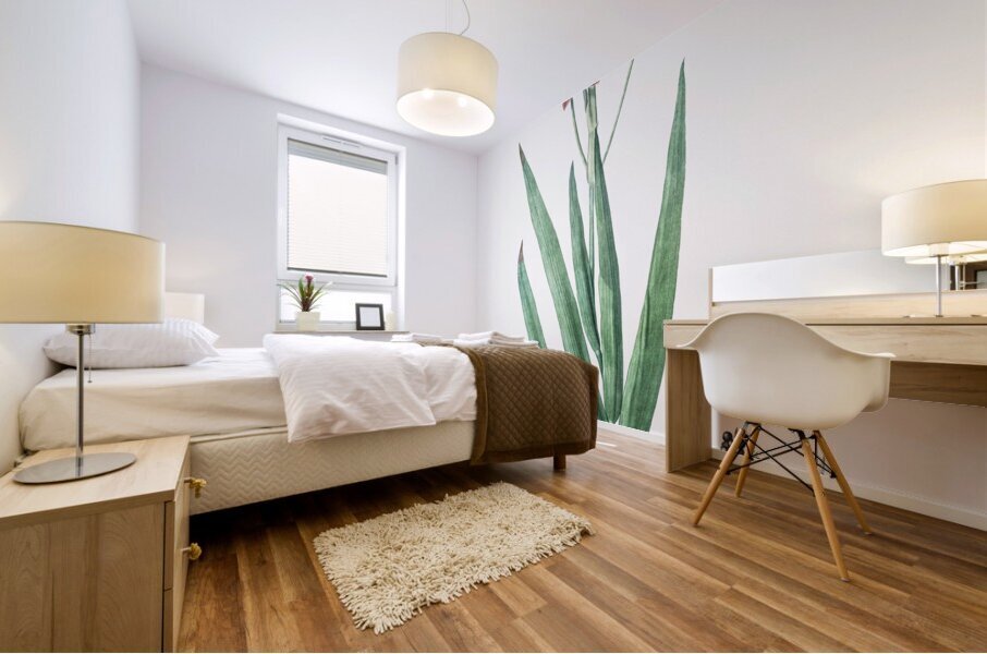 Blackberry Lily illustration  Mural print