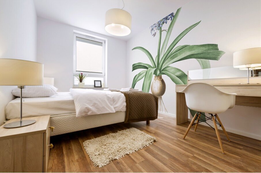 Portuguese squill illustration  Mural print