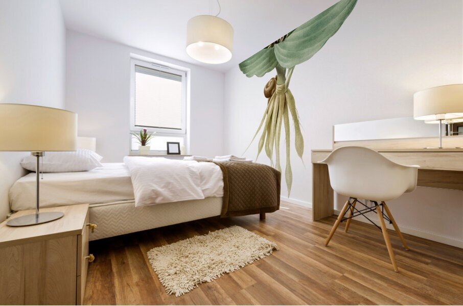 Sand ginger illustration  Mural print