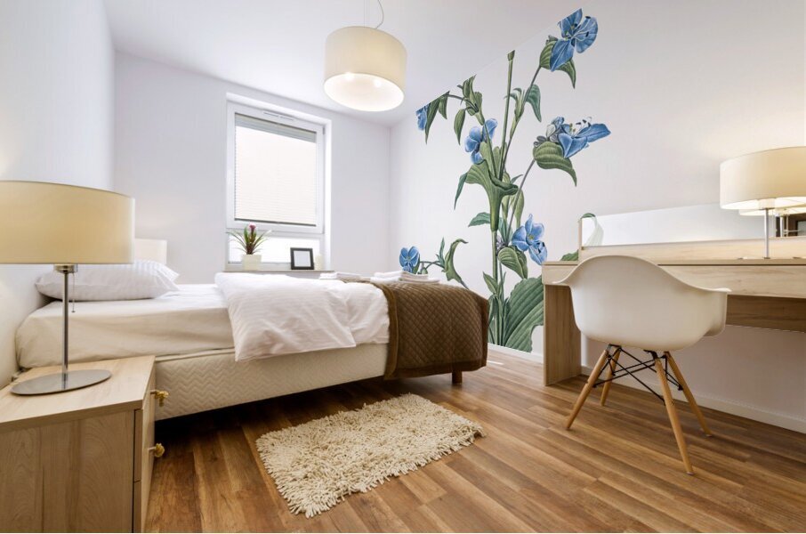 Commelina tuberosa illustration  Mural print