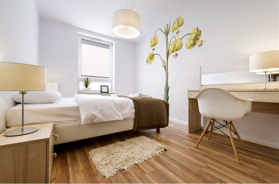 Lilium pyrenaicum illustration  Mural print