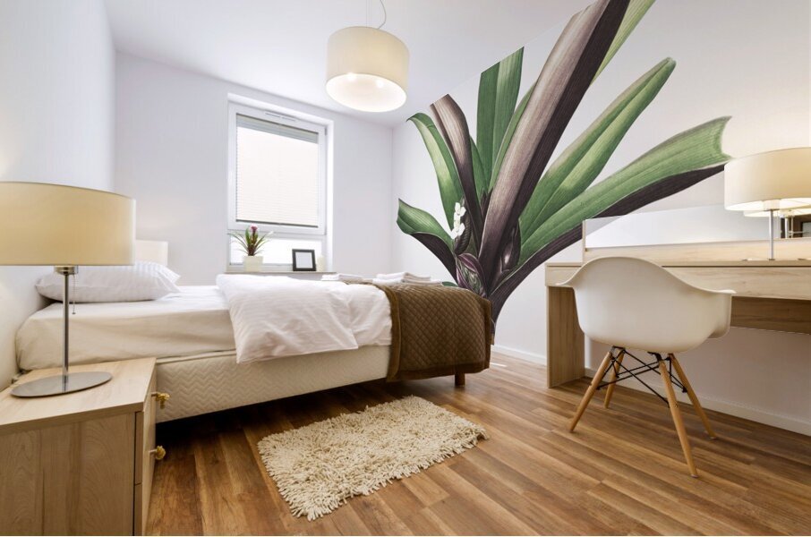 Boat lily illustration  Mural print