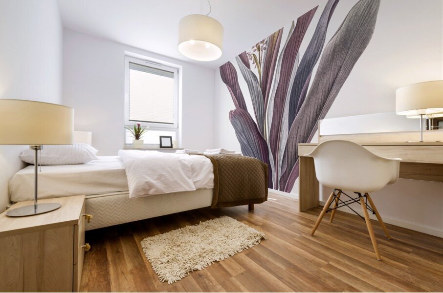 Cordyline fruticosa illustration  Impression murale