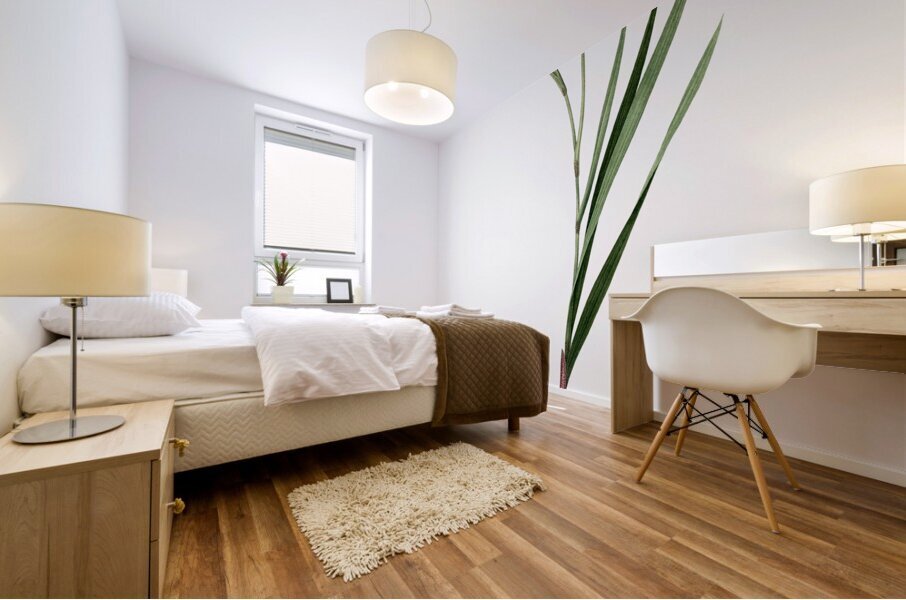 Gladiolus illustration  Mural print