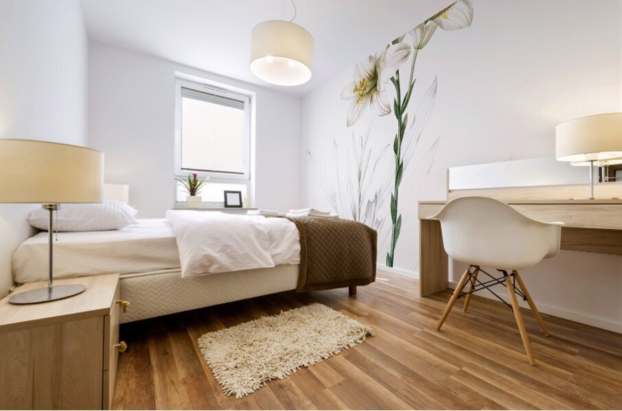 Madonna lily illustration  Mural print