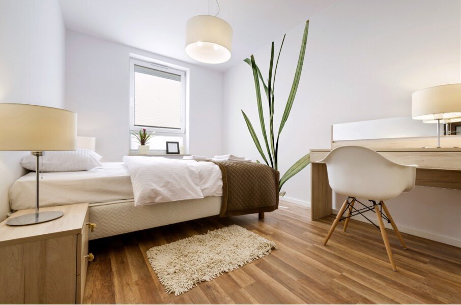 Ixia hyalina illustration  Mural print