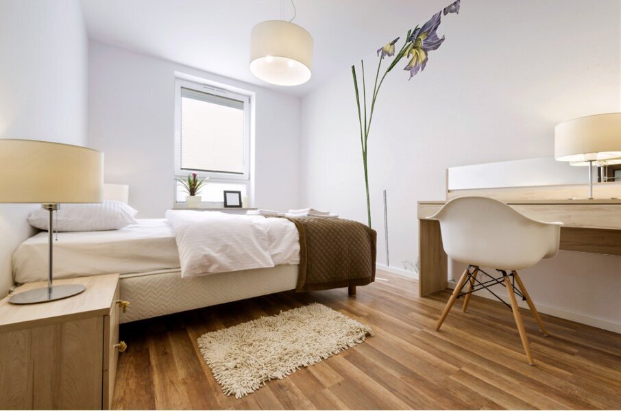 Gladiolus ringens illustration  Mural print