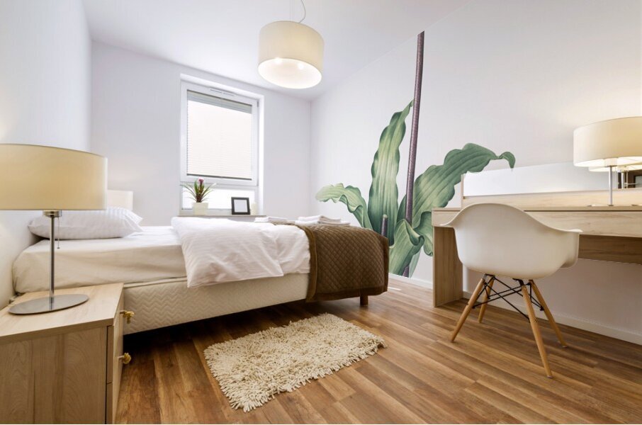 Veltheimia capensis illustration  Mural print