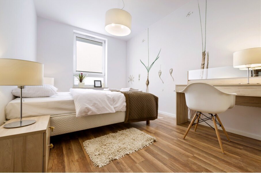 Leucoium trichophyllum illustration  Mural print