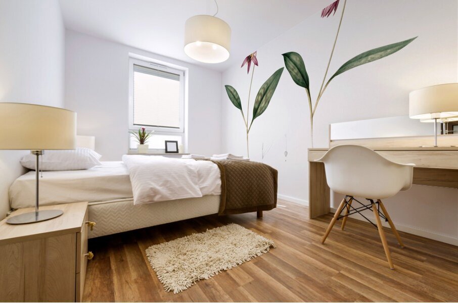 Erythronium Erythronium dens canis illustration  Mural print