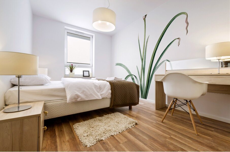 Crytanthus vittatus illustration  Mural print